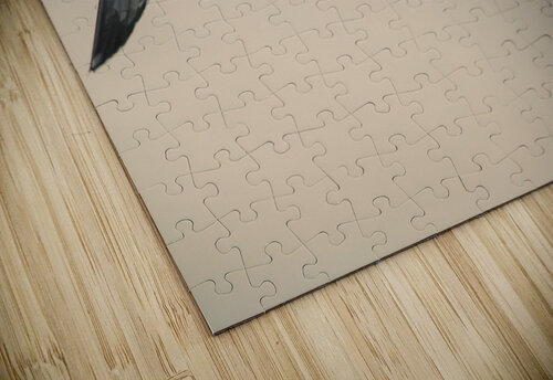 PC308391 Maurice Weygant puzzle