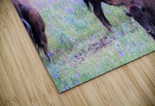 P1012725 2 Maurice Weygant puzzle