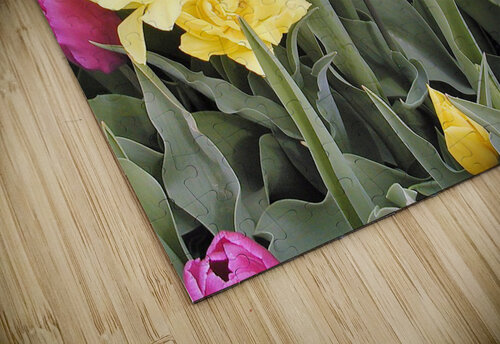 P5076624 2 Maurice Weygant puzzle