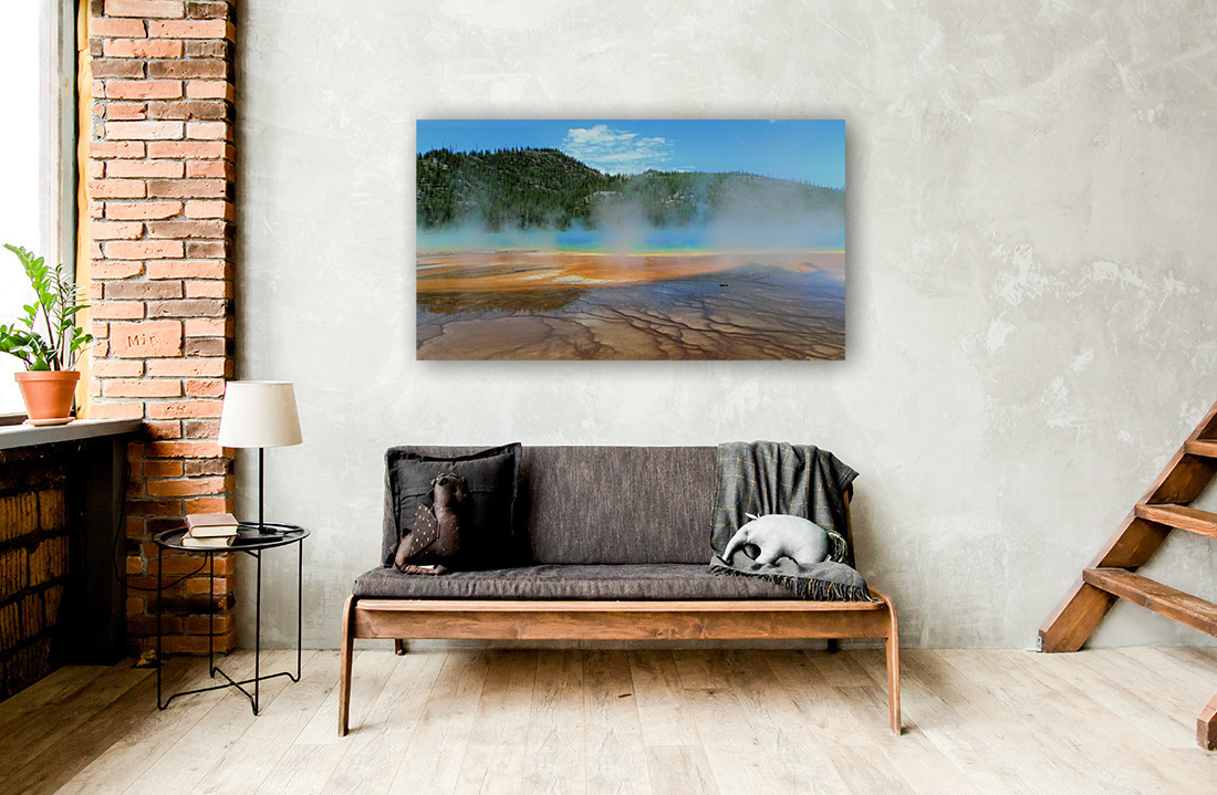 P6200113 Reproduction