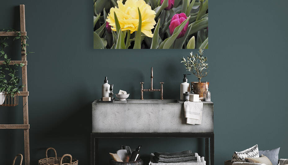 P5076626 3 Reproduction