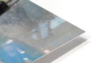 DSCN4214 3 HD Metal print