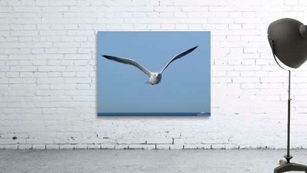 PC308282 2 Wall Preview