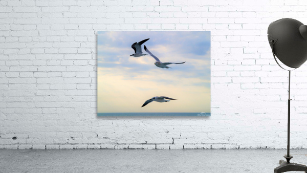 PC308387 2 Wall Preview