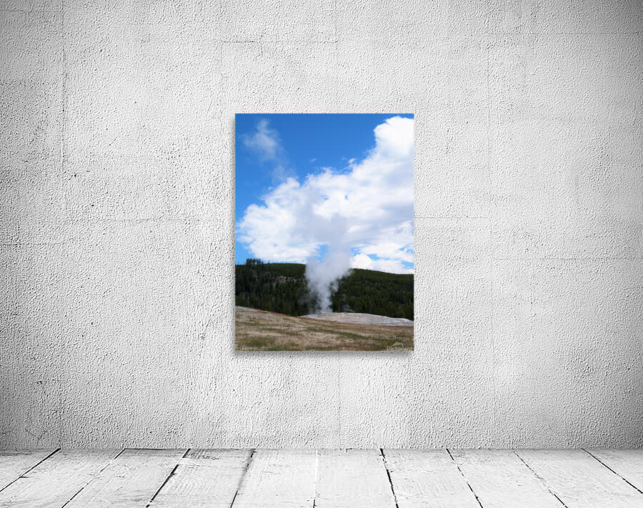 P1012837 2 Wall Preview