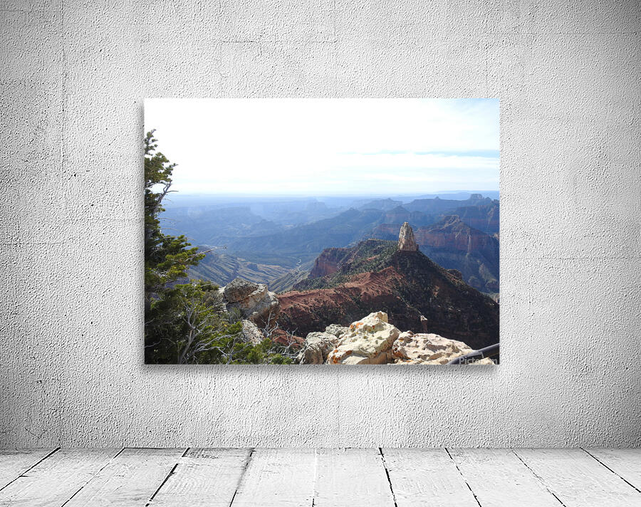 DSCN2319 Wall Preview
