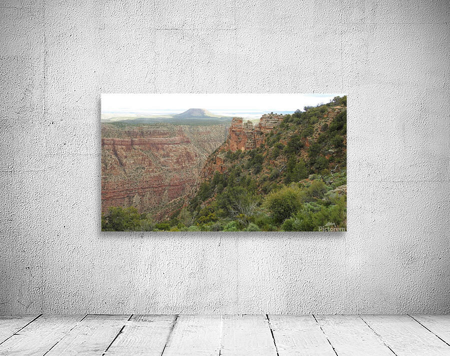 DSCN2664 2 Wall Preview