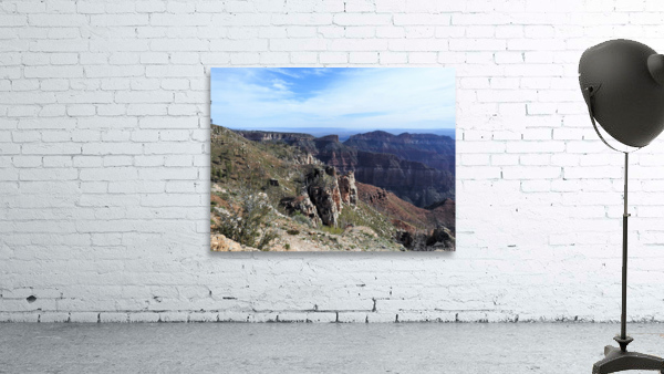 DSCN2318 Wall Preview
