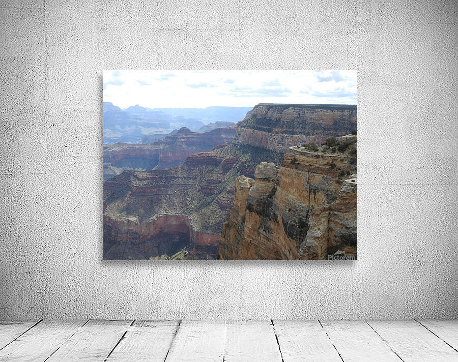 DSCN2717 Wall Preview