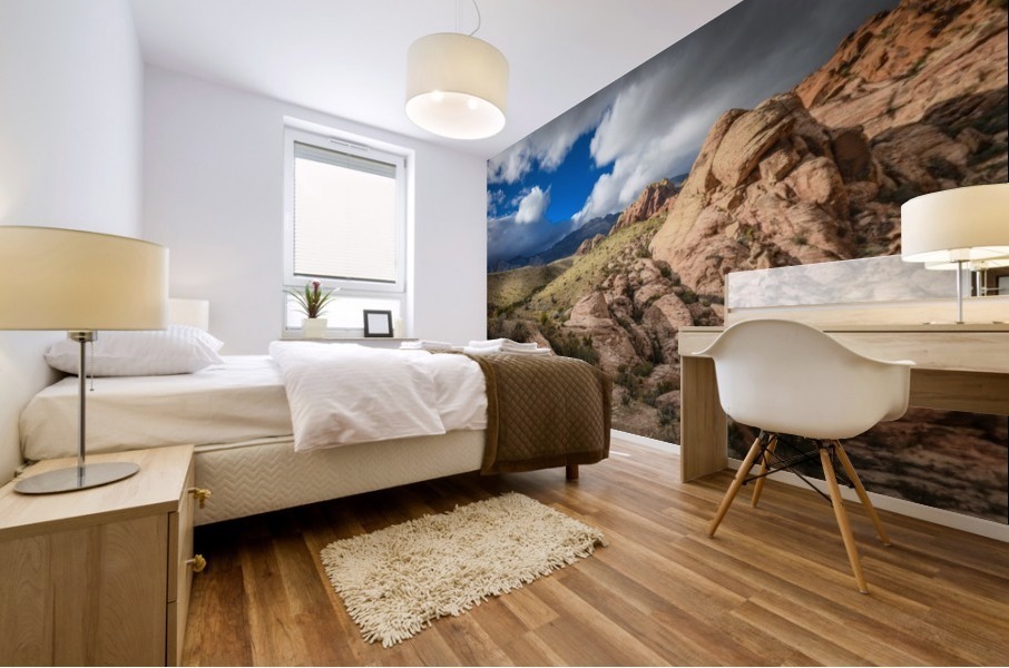 Red Rock Canyon Mural print