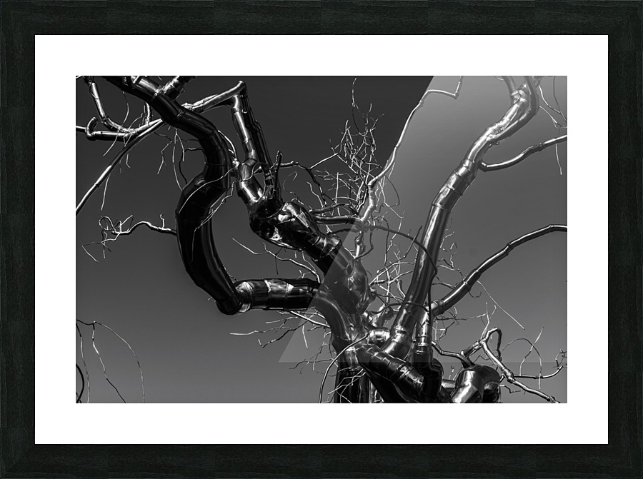 Metal tree Picture Frame print