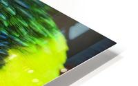 _LAB5536s HD Metal print