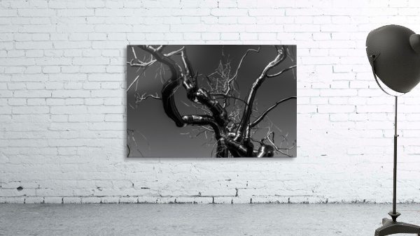 Metal tree Wall Preview