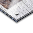 Mule Deer  Acrylic print