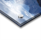 Birdwood from Buller Acrylic print