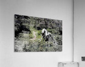 Jimmy Simpson Jr. Acrylic Print