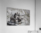 Grumpy Garriochmill Acrylic Print