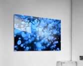 Methane Bubbles on Abraham Lake Acrylic Print