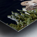 Bighorn ship Metal print