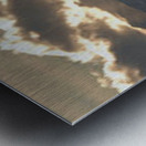 Cathedral of Light — Front Range Metal print