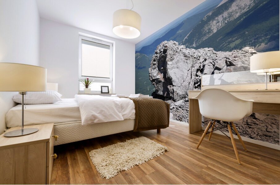 The Garriochmill Oracle Accuracy Not Guaranteed Mural print