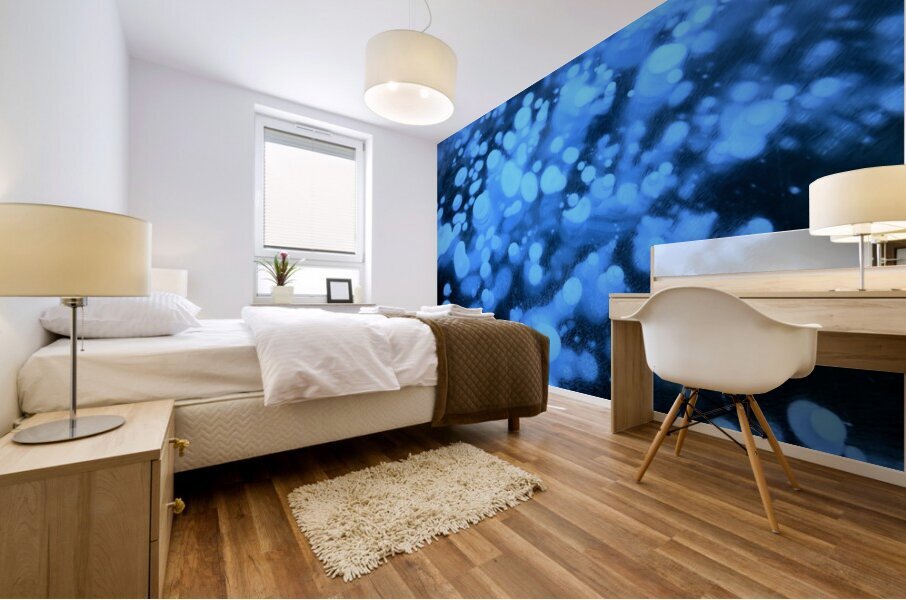 Methane Bubbles on Abraham Lake Mural print