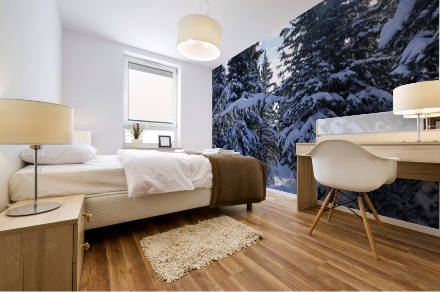 Jumpingpound Ridge Winter Hike Mural print
