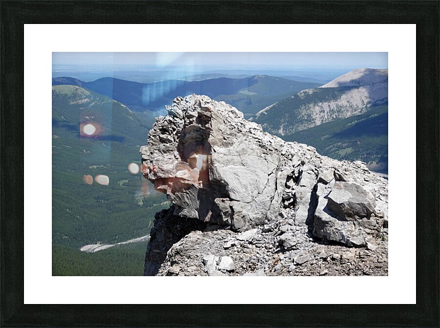 The Garriochmill Oracle Accuracy Not Guaranteed Picture Frame print