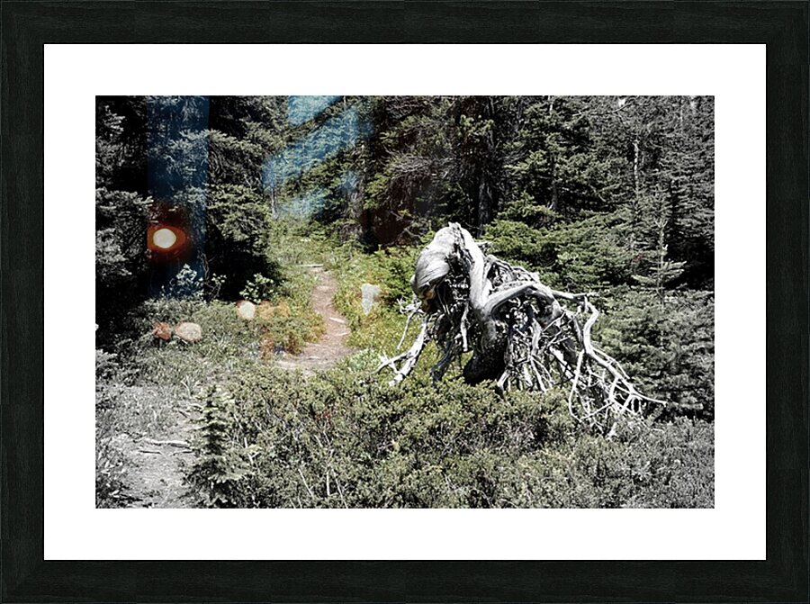 Jimmy Simpson Jr. Picture Frame print