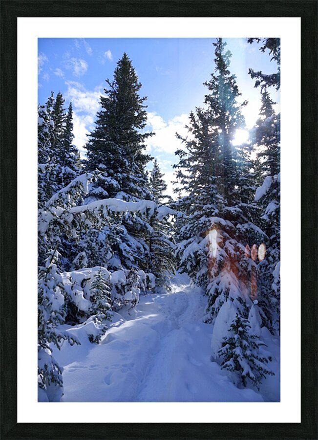 Jumpingpound Ridge Winter Hike Picture Frame print