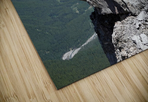 The Garriochmill Oracle Accuracy Not Guaranteed Danilov Alpine Works puzzle