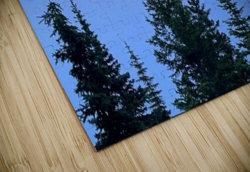 The Floating Ridge Danilov Alpine Works puzzle