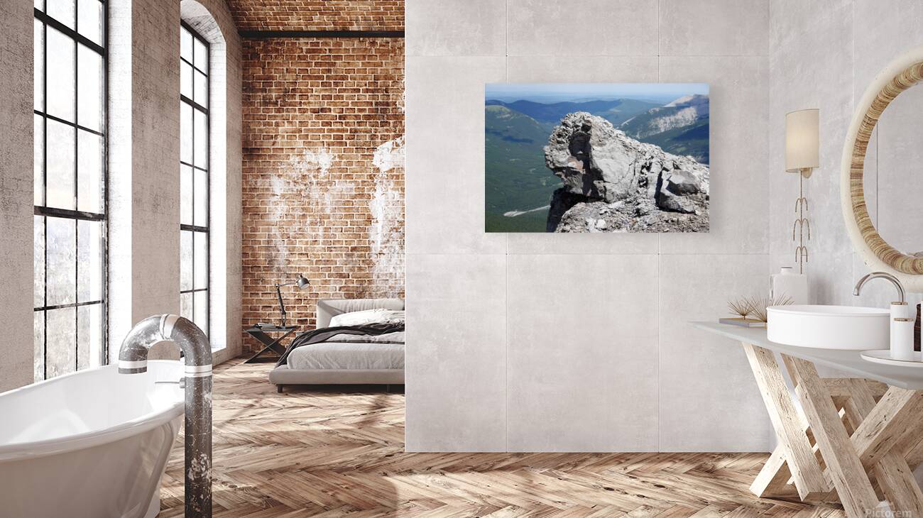 The Garriochmill Oracle Accuracy Not Guaranteed Reproduction