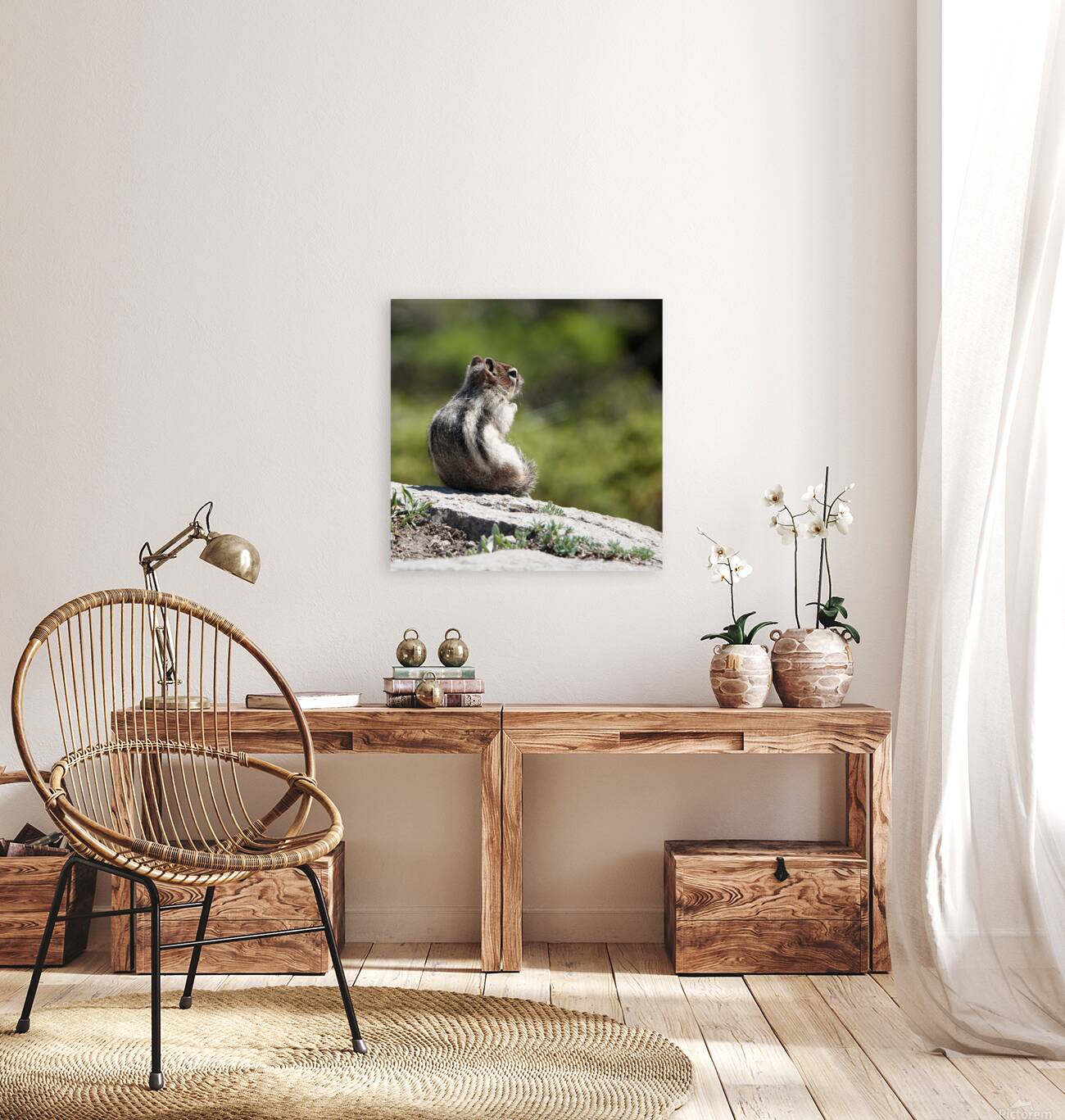 Cute chipmunk admiring a view 2 Reproduction