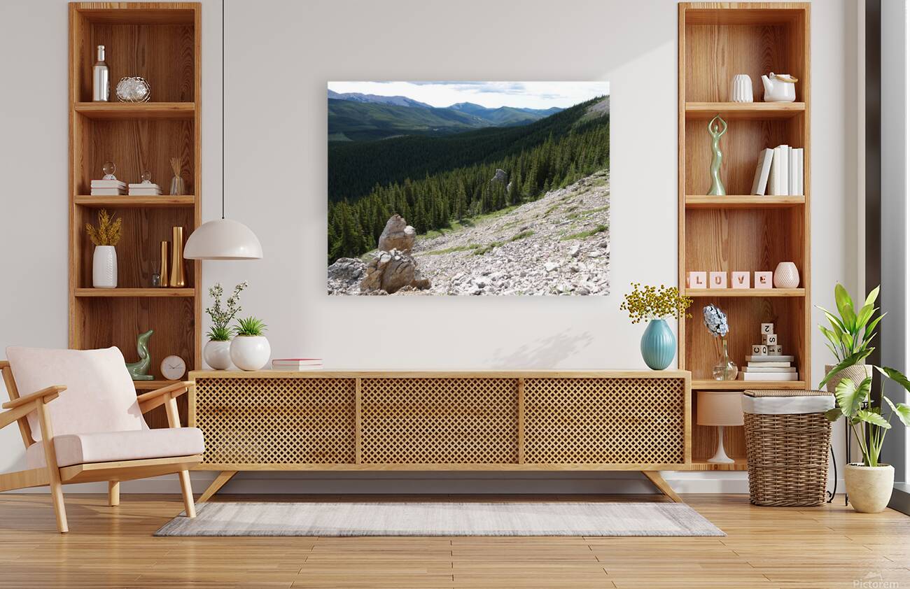 Broken Sentinels Reproduction