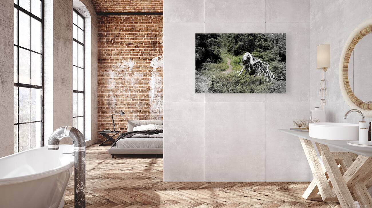 Jimmy Simpson Jr. Reproduction