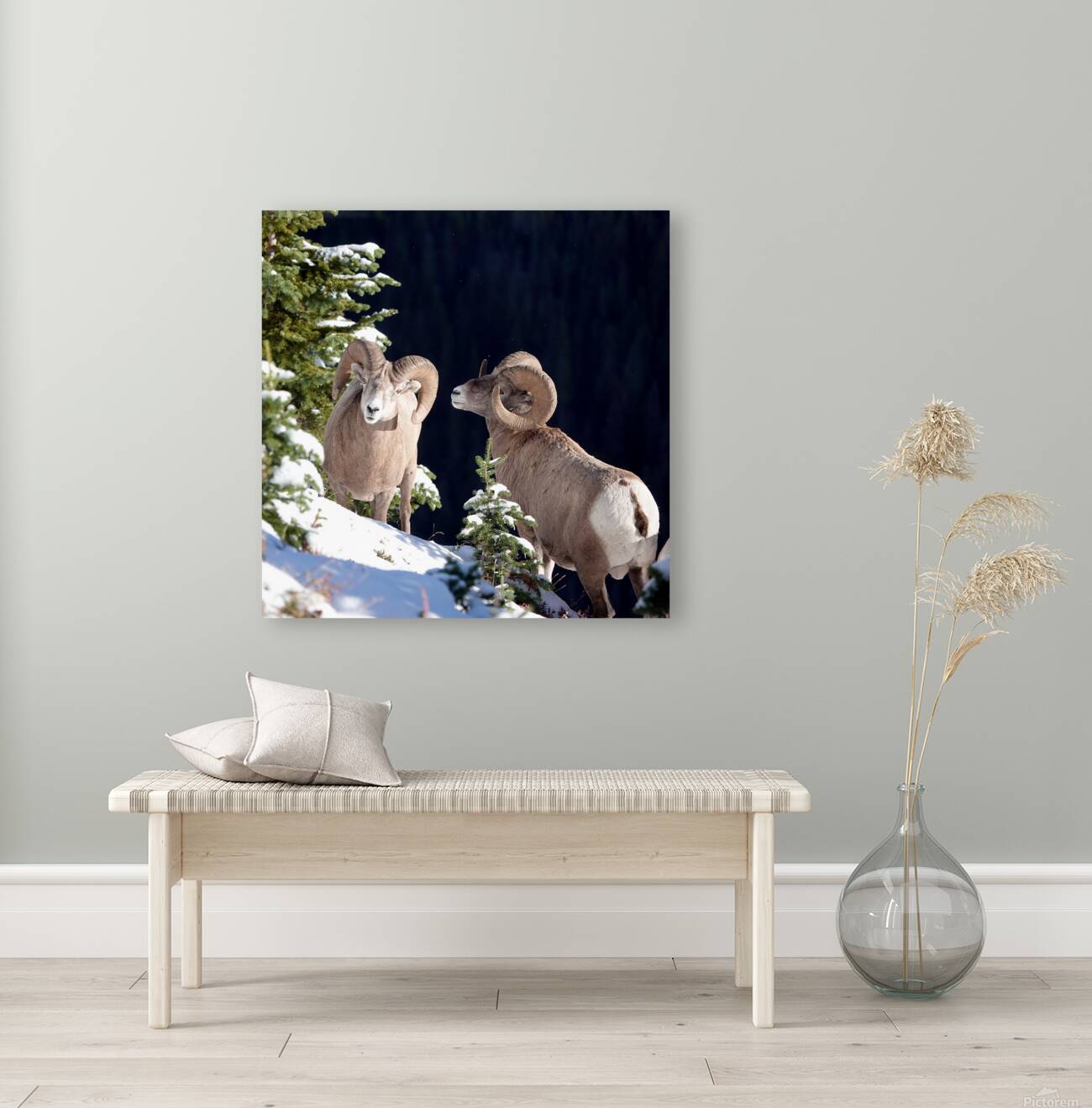 Bighorn ship Reproduction