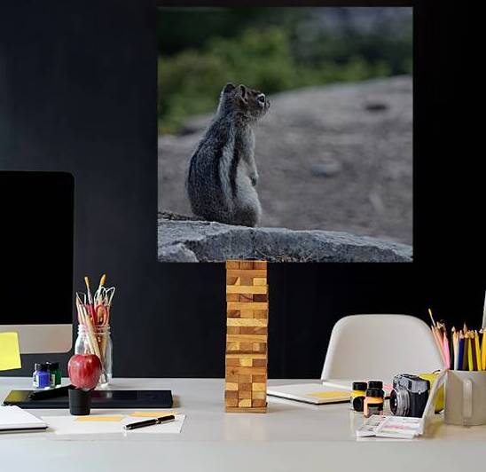 Cute chipmunk admiring a view 1 by Danilov Alpine Works