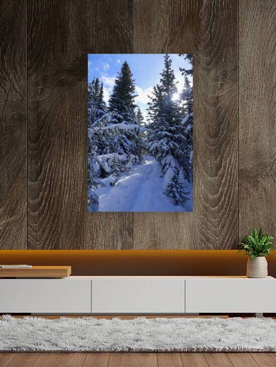 Jumpingpound Ridge Winter Hike Reproduction