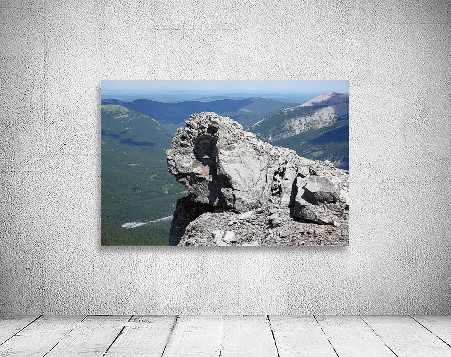 The Garriochmill Oracle Accuracy Not Guaranteed Wall Preview