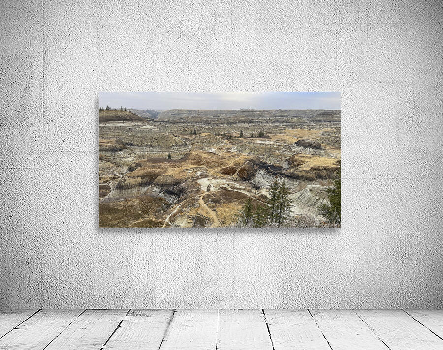 Badlands Labyrinth Wall Preview