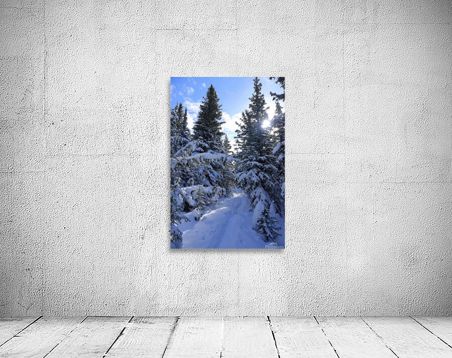 Jumpingpound Ridge Winter Hike Wall Preview