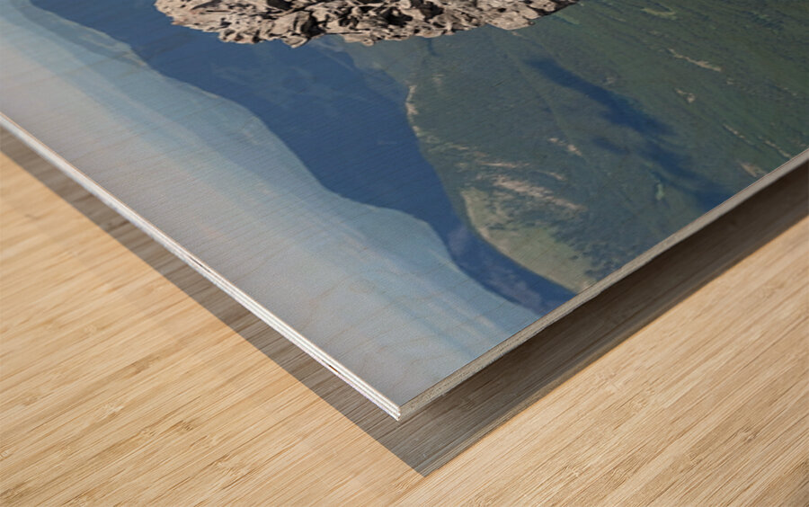 The Garriochmill Oracle Accuracy Not Guaranteed Wood print