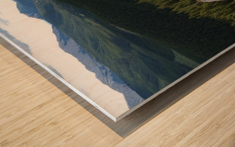 Broken Sentinels Wood print