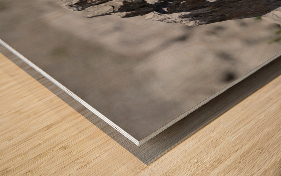 Grumpy Garriochmill Wood print