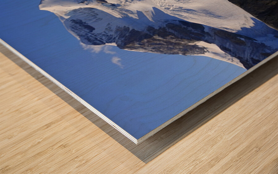 Mount Athabaska Wood print