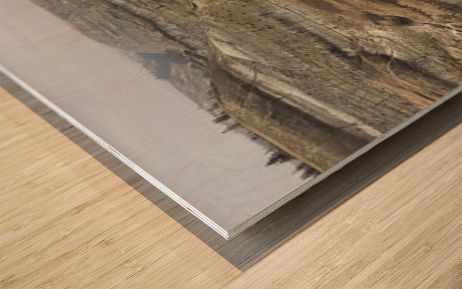 Badlands Labyrinth Wood print