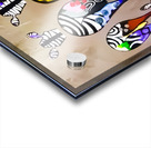 Zebra Butts Acrylic print