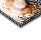 Snail Acrylic print
