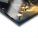 Pirate Cat Acrylic print